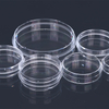 cell culture dish