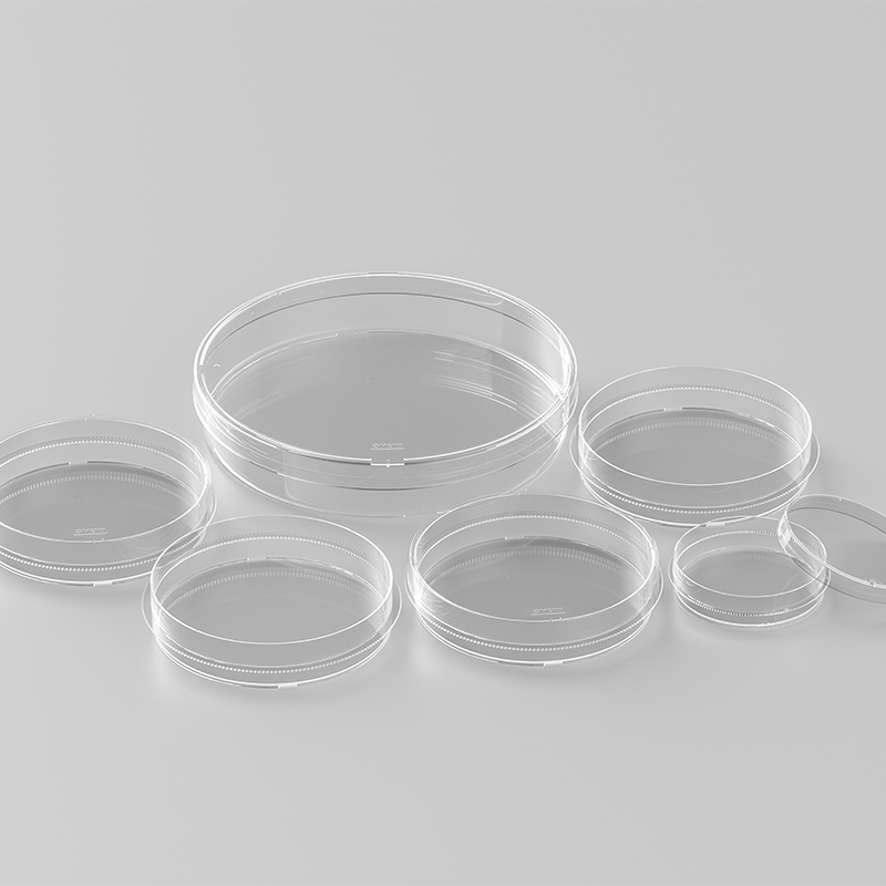 cell culture dish