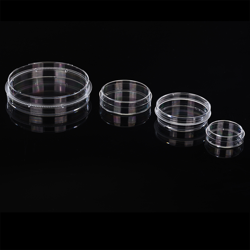 cell culture dish