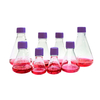 Erlenmeyer flask